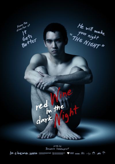 A person is naked, sitting with their knees to their chest and their feet crossed to cover their crotch. Their arms are wrapped around their knees, holding the knees close to their chest. Their left hand is holding onto their right forearm. They have light skin and short black hair with a widow's peak. They are staring blankly into the camera. The title is over the person's legs, reading "red Wine in the dark Night." Wine and Night are capitalized and in red text, while the rest of the words are lowercase and in white.